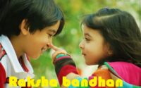 Brother-and-sister-love-on-Raksha-Bandhan-Indian-festival-rakhi-3